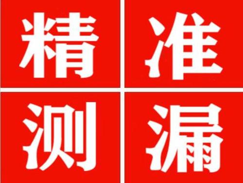 普定尚嘉漏水精准查找