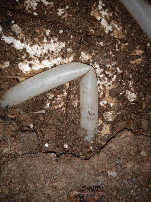 普定堵点精准查找